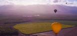 Sunrise Balloon Flights Daily from Cairns and Port Douglas Sunrise-Hot-Air-Balloon-Rides-Cairns-Port-Douglas