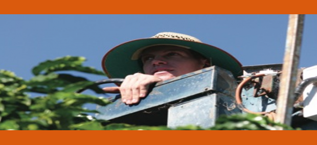 Skybury Coffee Centre Mareeba Skybury Coffee Centre Mareeba